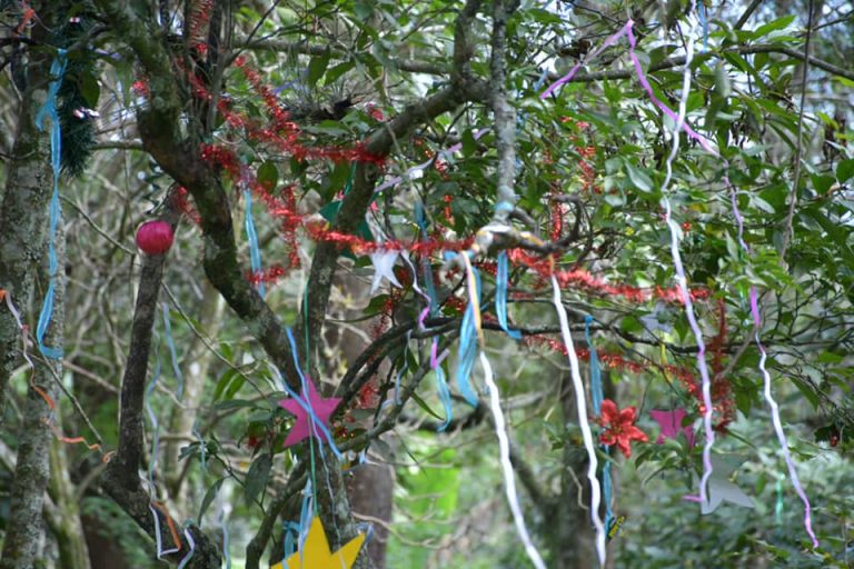 Disfruta de las actividades inclusivas del JEX esta temporada decembrina