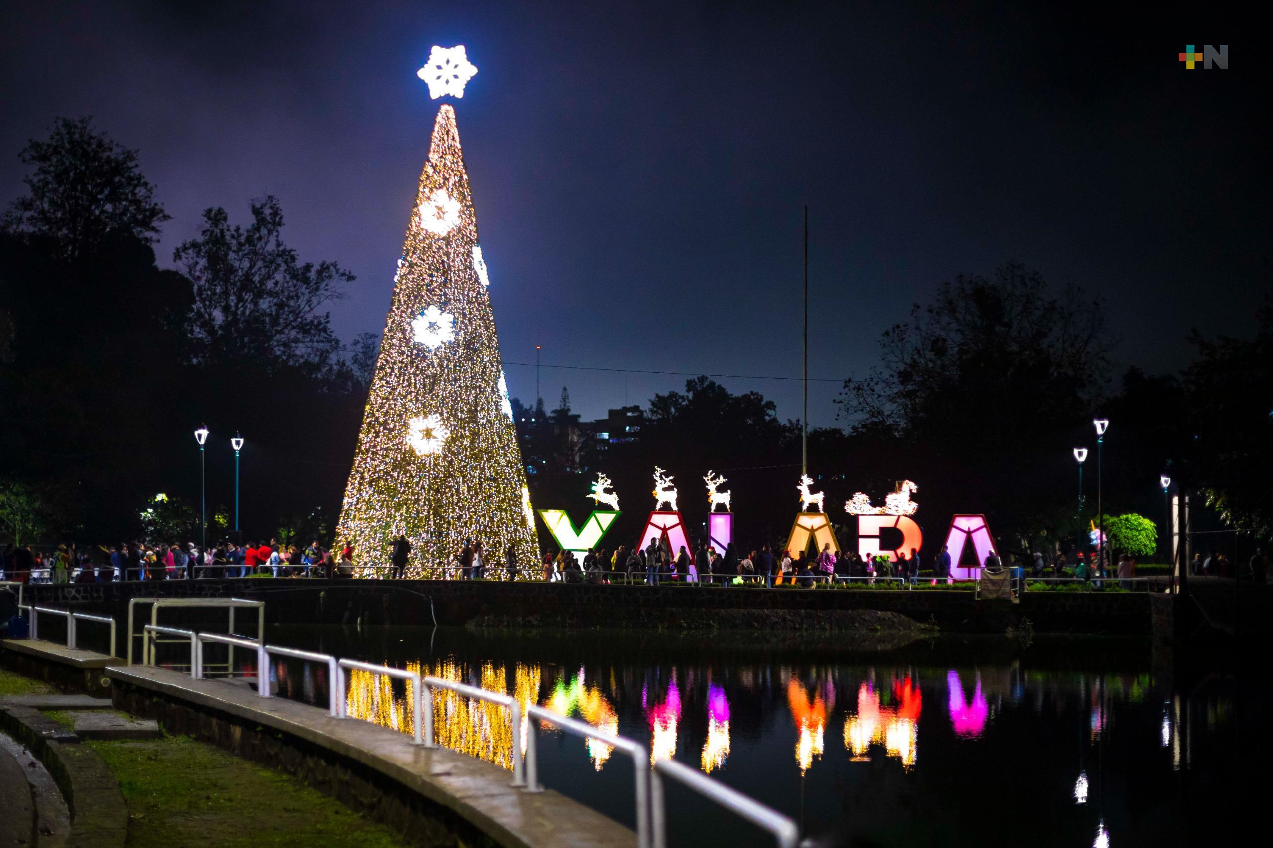 Encienden monumental pino navideño en Los Lagos