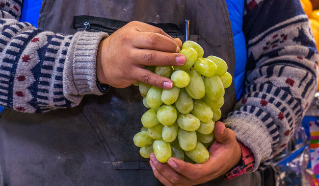 Garantiza Agricultura abasto de uva para festejos de Año Nuevo