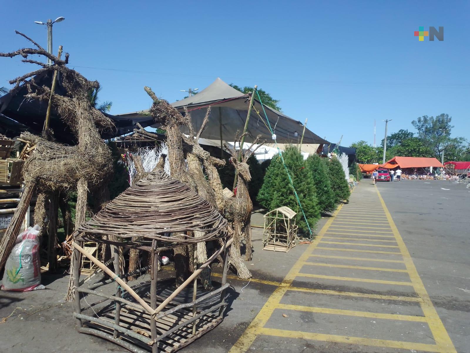 Comerciantes de pinos trabajan todo el año en su producto; ventas de 2023 bajaron