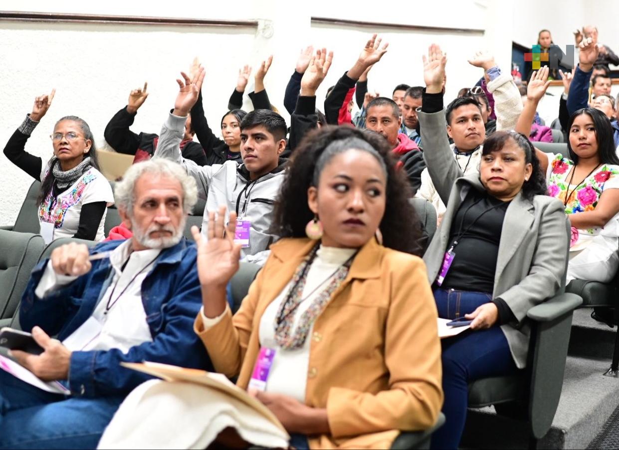 Representantes de comunidades y pueblos indígenas y afromexicanas avalan resultados de la consulta del OPLE