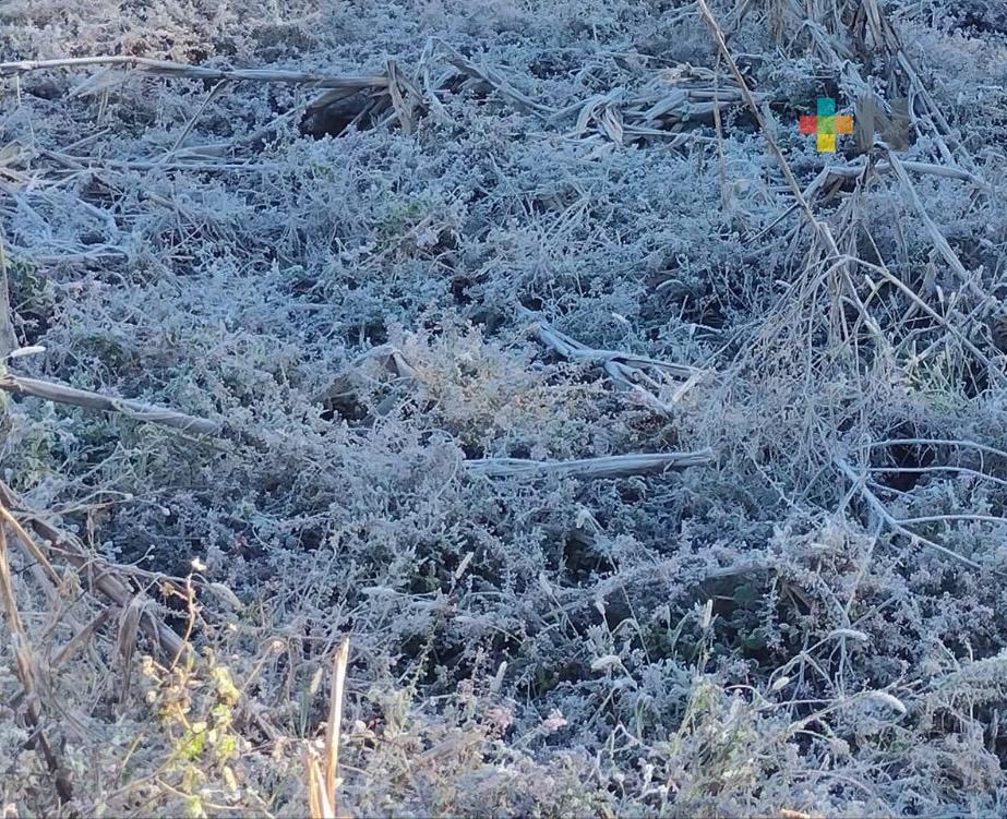 Reporta PC Estatal helada en nueve municipios veracruzanos