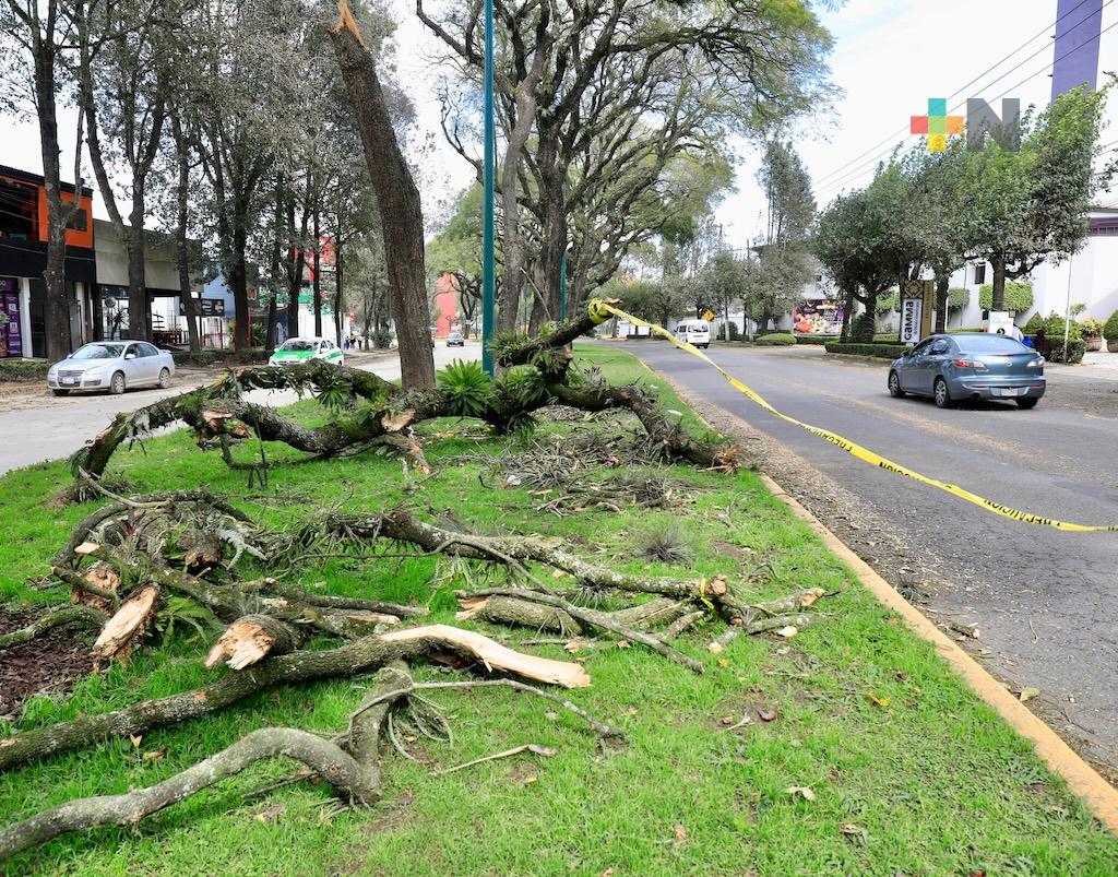 Sin daños que lamentar, la entrada del frente frío 16 en la entidad: SPC
