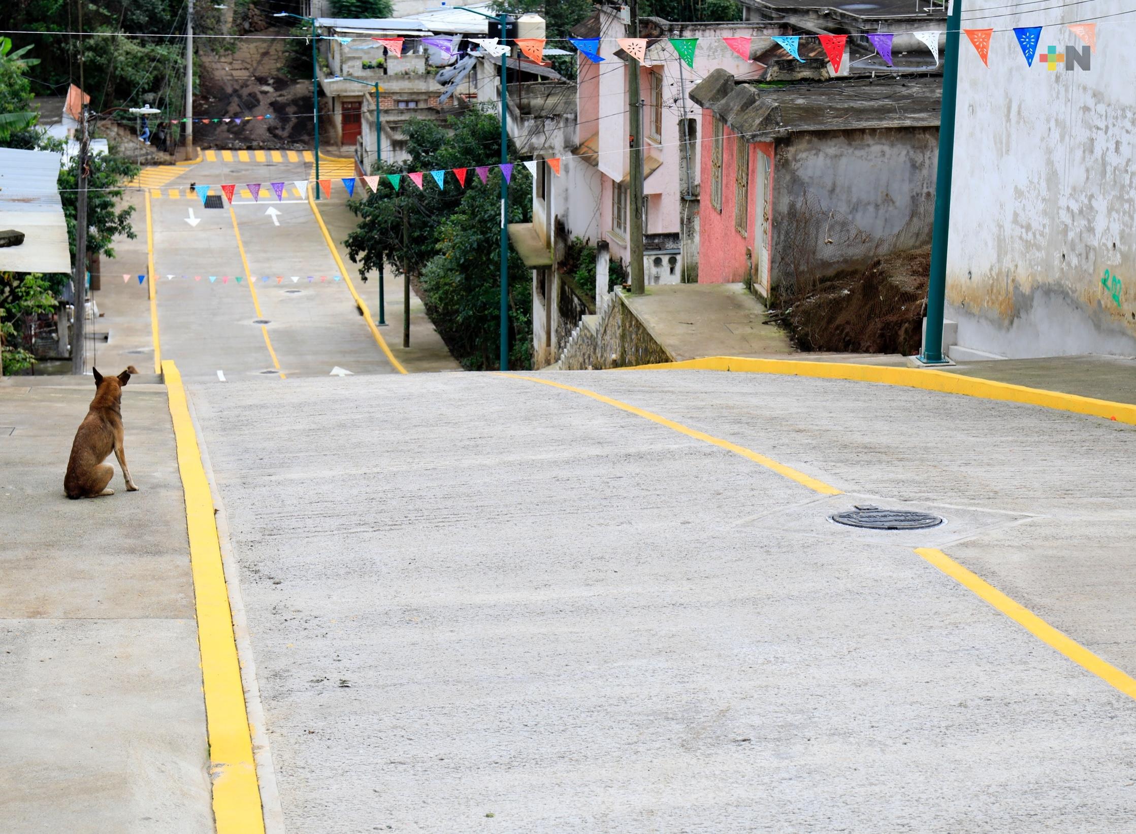 Entregan calles pavimentadas con concreto hidráulico en la colonia Lealtad Institucional