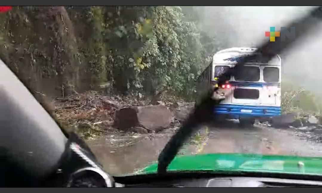 Derrumbe de rocas en carretera Xalapa-Misantla; se recomienda tomar precauciones
