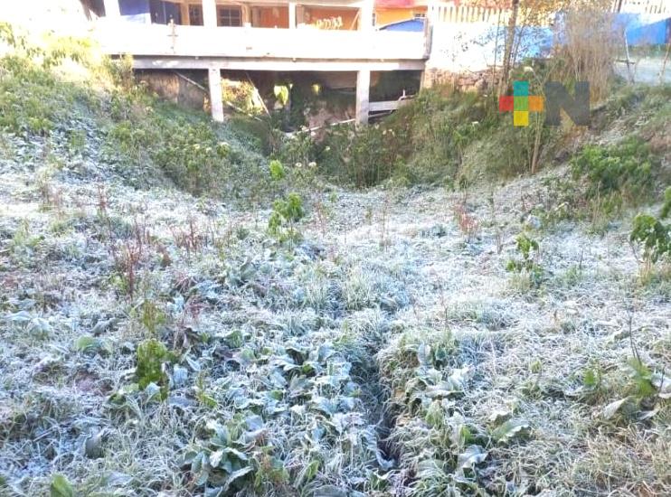 Miércoles medio nublado con temperaturas bajas y ambiente frío en el estado