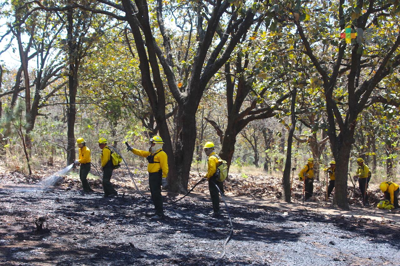 Veracruz se prepara contra incendios forestales durante la temporada invernal