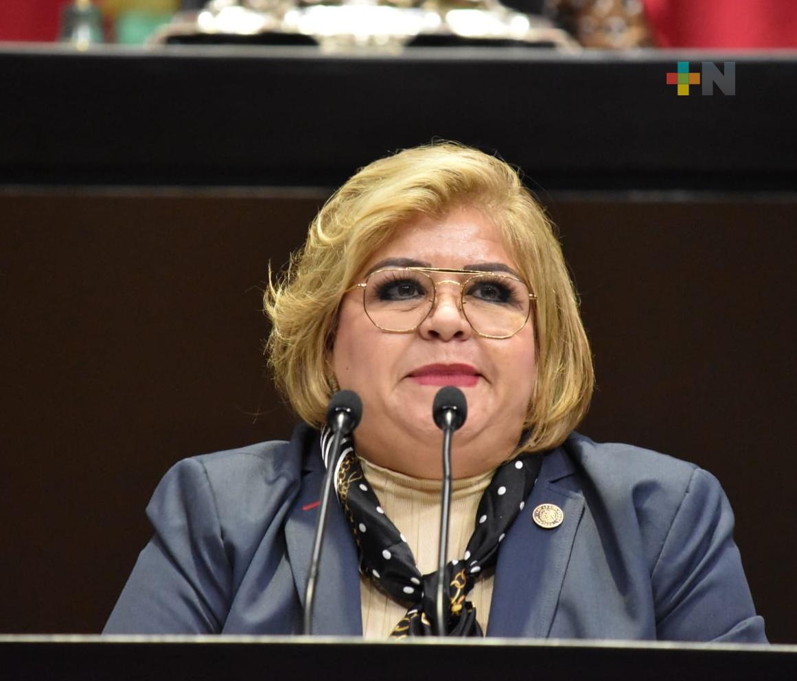 Impulsa diputada Shirley Vázquez incluir tipo de sangre en credencial para votar