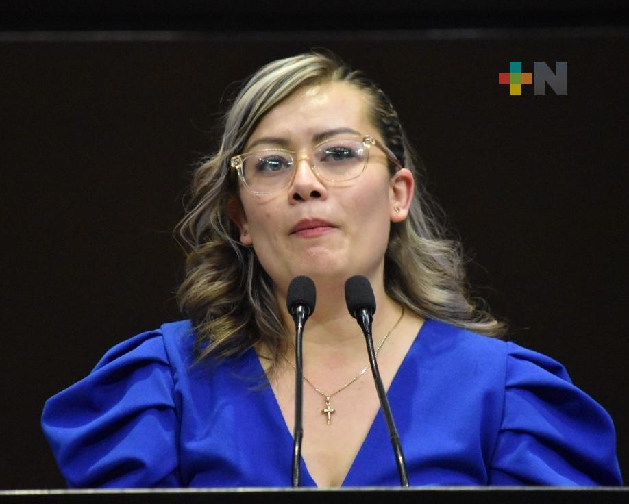 Exhorta diputada a que congresos locales armonicen su legislación para tipificar violencia vicaria