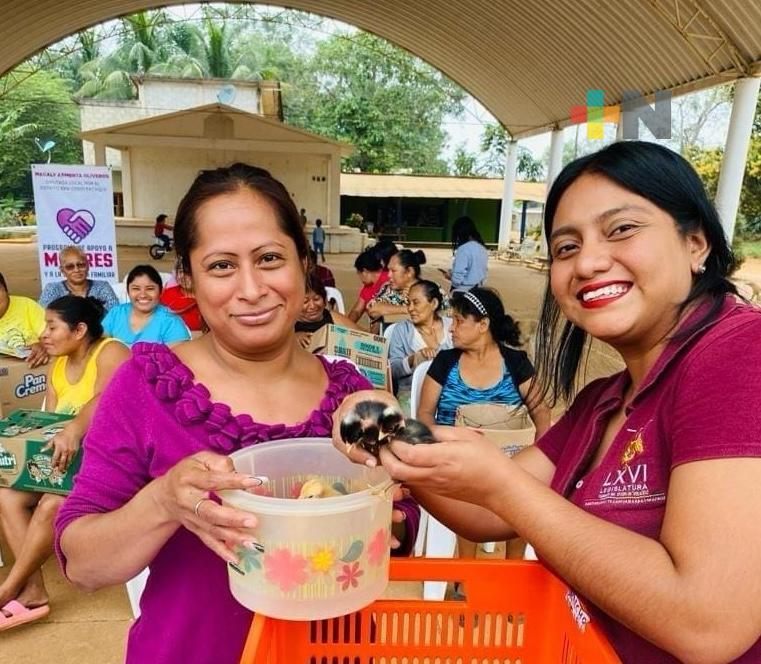 Apoyar a mujeres es impulsar la igualdad de género y crecimiento económico: Diputada