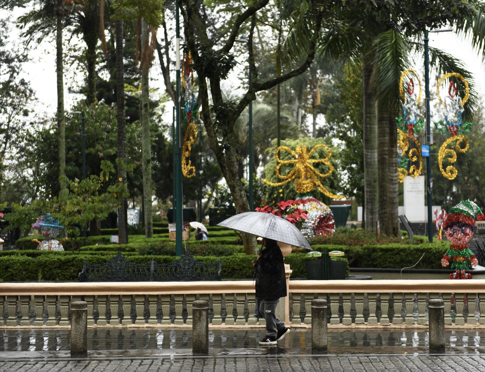 Nublado con lloviznas, lluvias y viento del norte por ingreso del Frente frío 24 a Veracruz