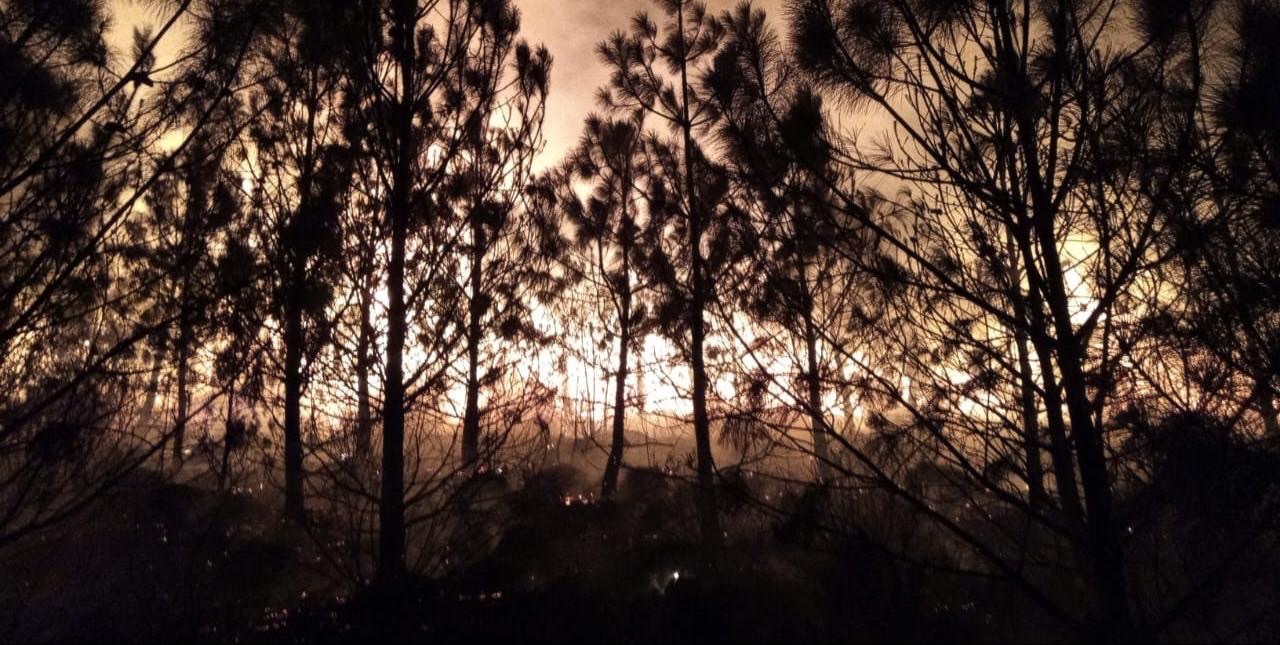 Controlado y con un 90 por ciento de liquidación, incendio forestal en Perote