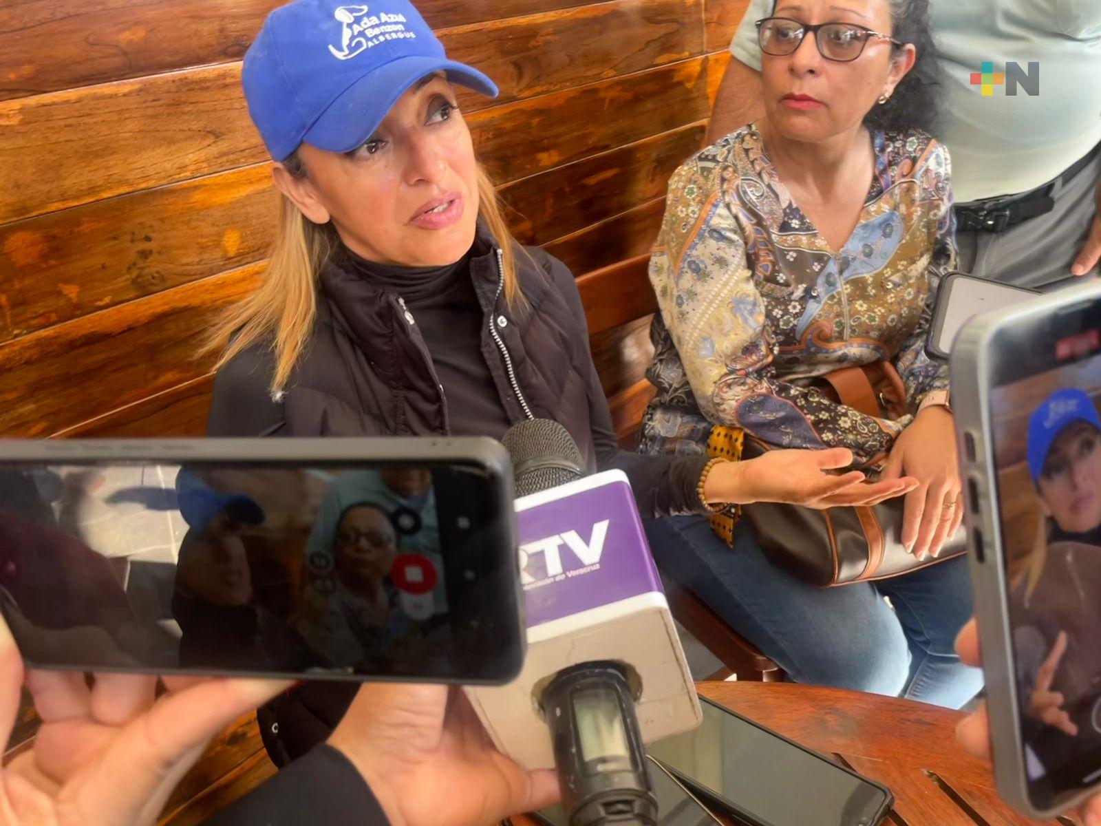 Desde diciembre incrementó el abandono de perros en centro y colonias de Xalapa