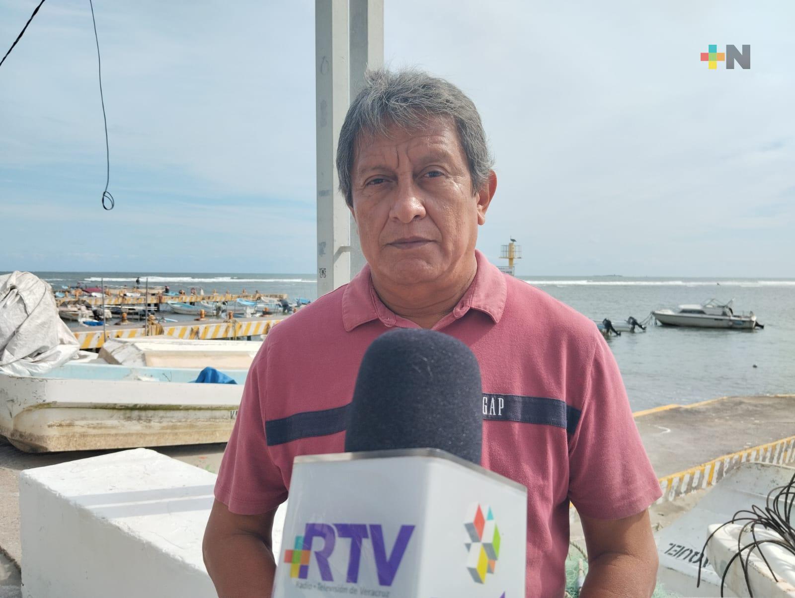 Disminuyó en 60 por ciento actividad pesquera en el puerto de Veracruz