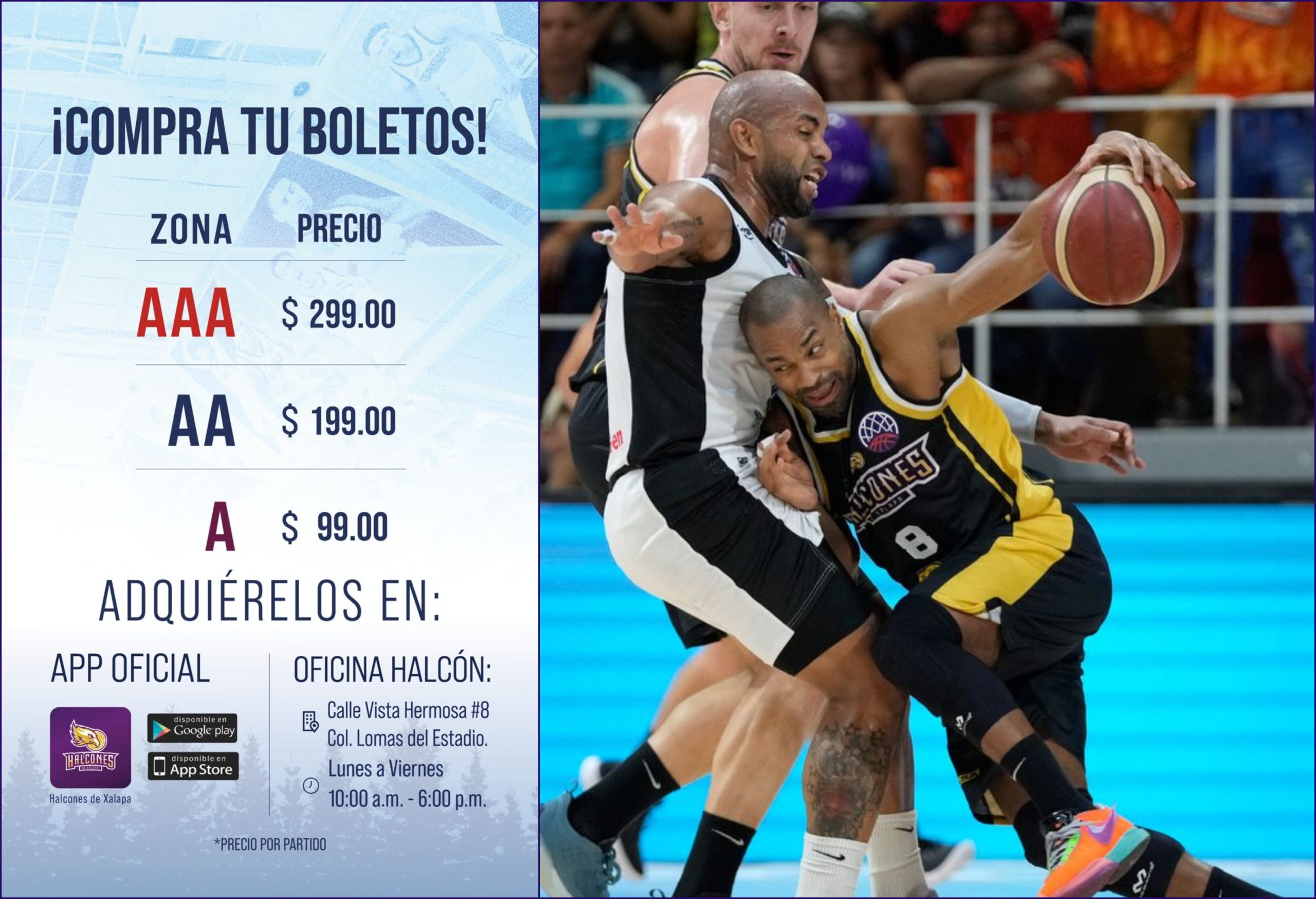 Halcones de Xalapa pone a la venta boletaje para tercera ventana de la BCLA