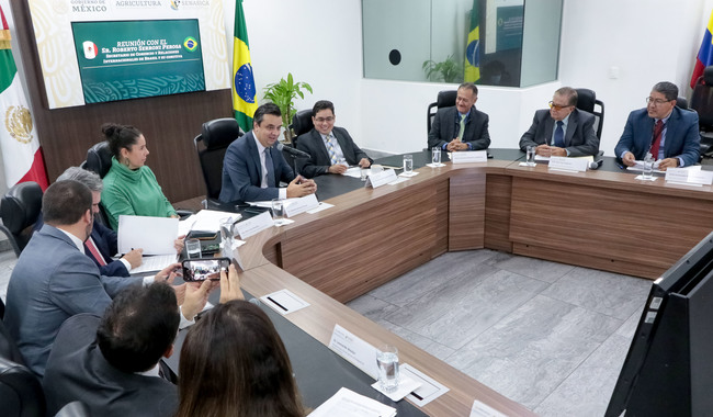 Buscan México y Brasil establecer regionalización por influenza aviar y evitar interrupción del comercio