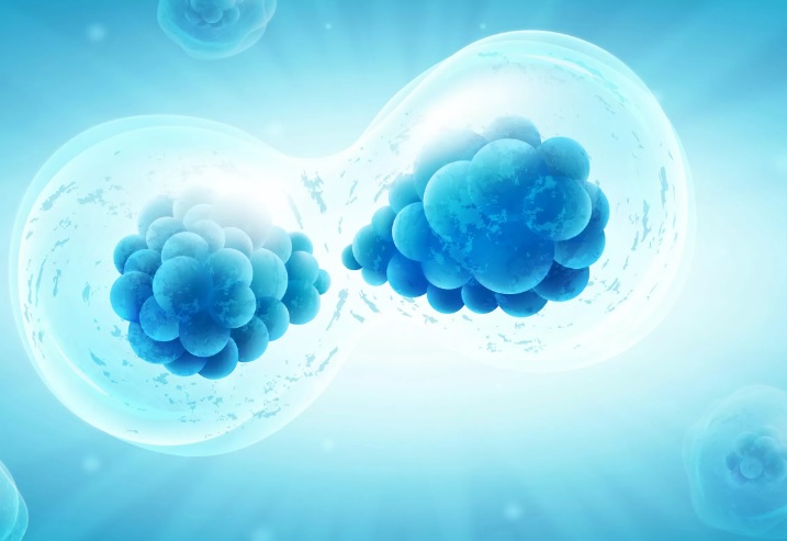 IMSS impulsa trasplantes de células madre en beneficio de menores con cáncer