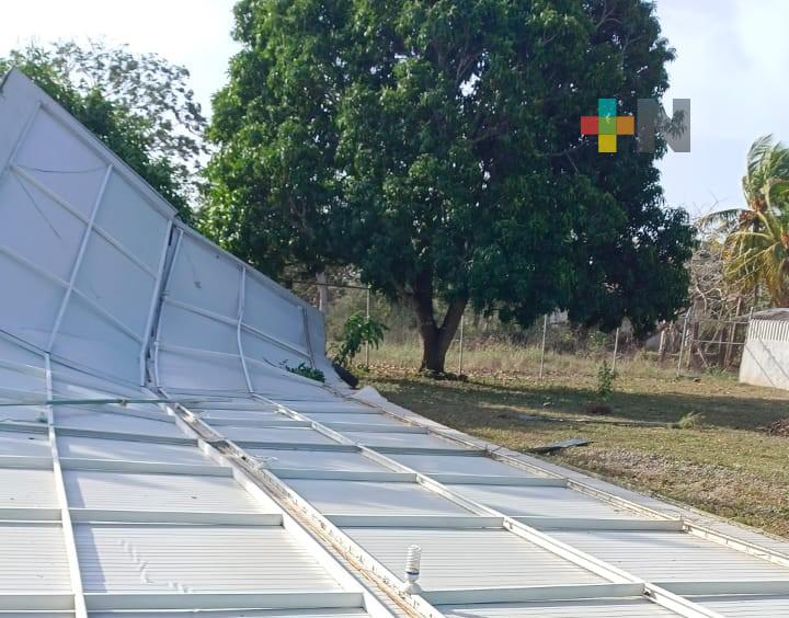 Caída de anuncio y árboles entre los daños del frente frío en Veracruz-Boca del Río