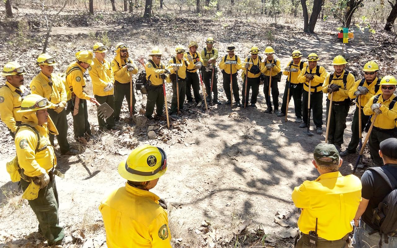 Veracruz se prepara contra incendios forestales de la temporada de estiaje