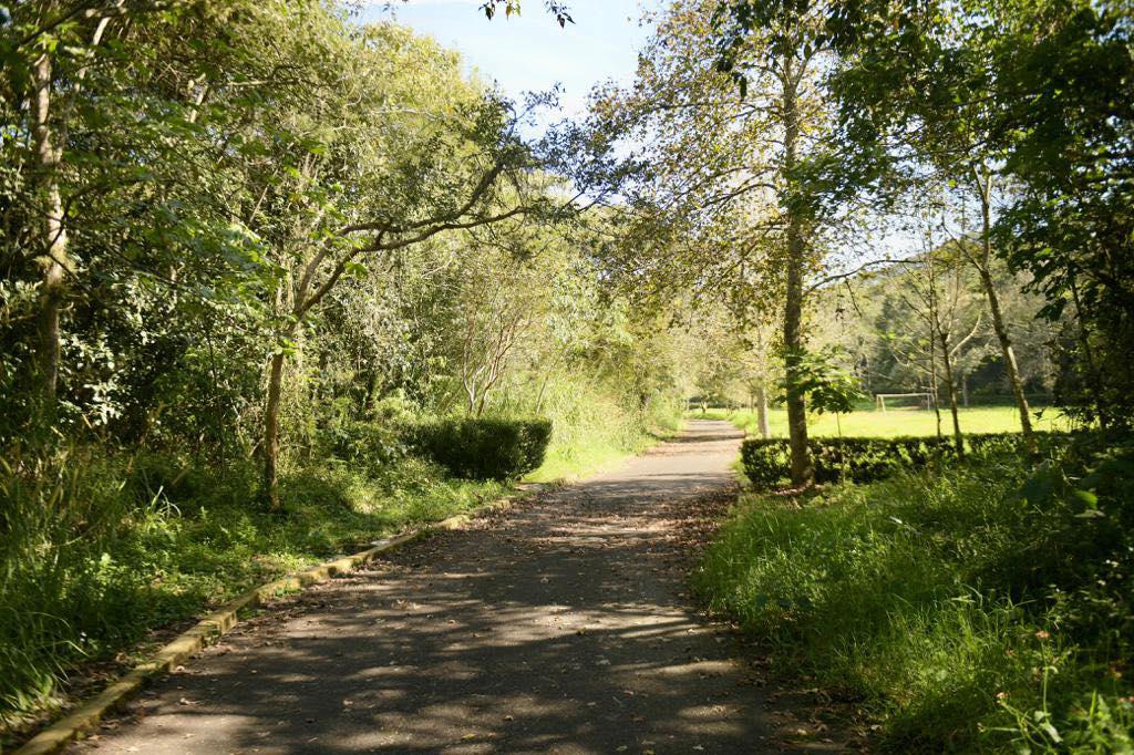 Desarrollo de vivienda no afecta reserva natural de Xalapa