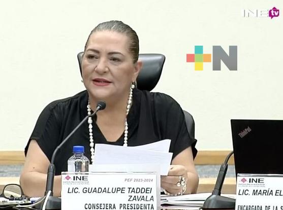Cuenta INE con capacidad e infraestructura para organizar las elecciones más grandes del país: Taddei Zavala