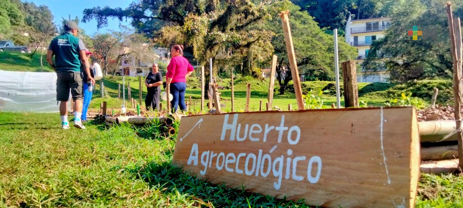 Agroecología en predio Barranca Honda se convierte en nuevo pulmón para Xalapa