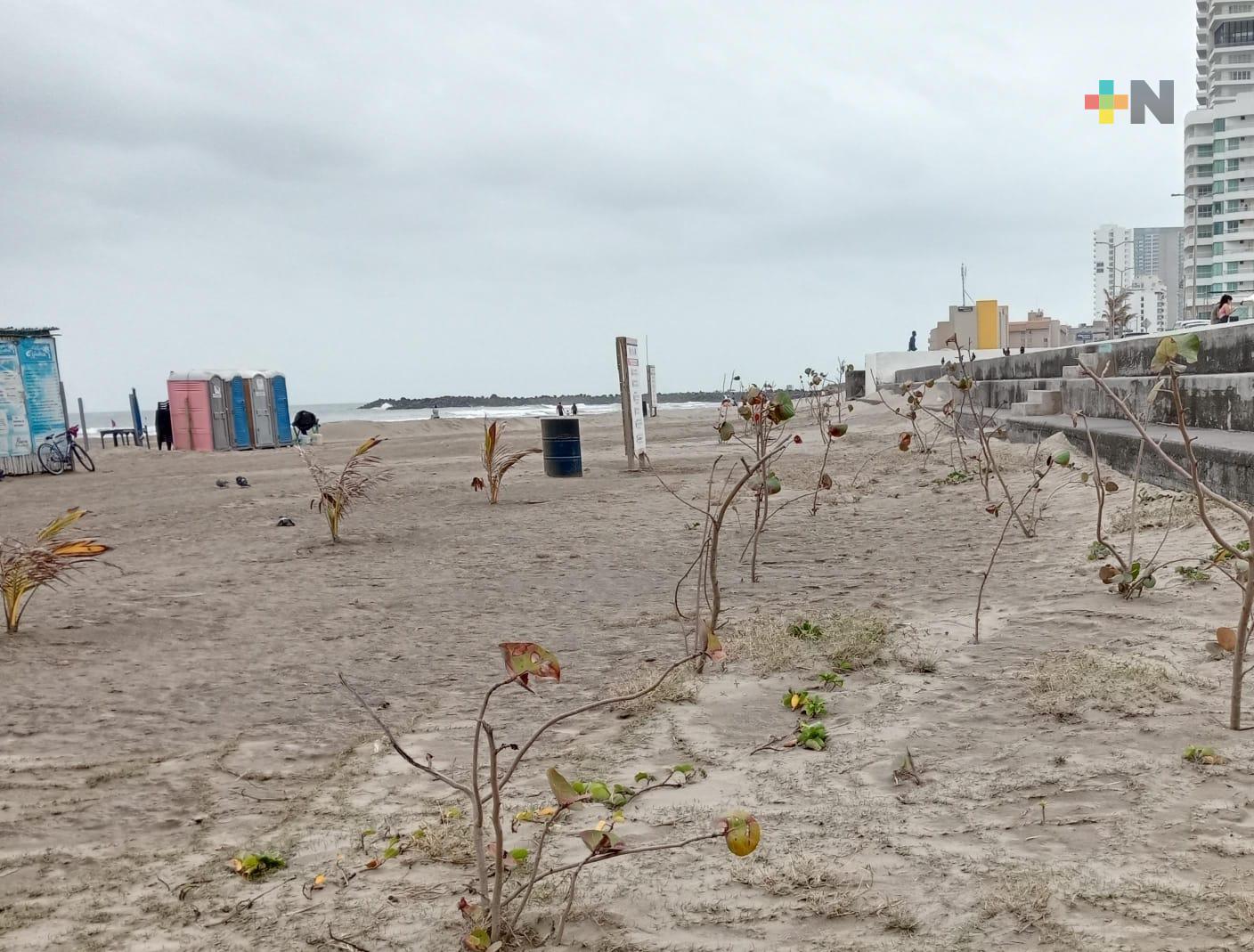 Realizarán limpieza en isla de Sacrificios el 25 de enero