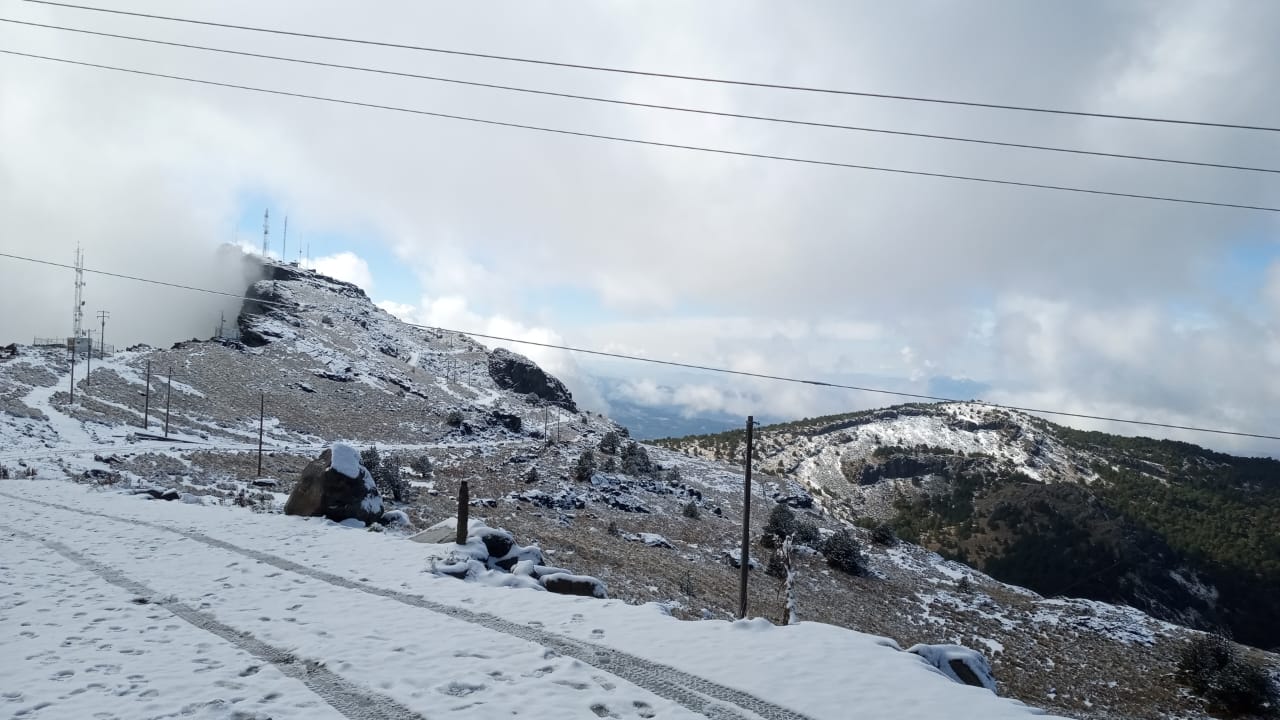 Amaneció nevado en el Cofre de Perote
