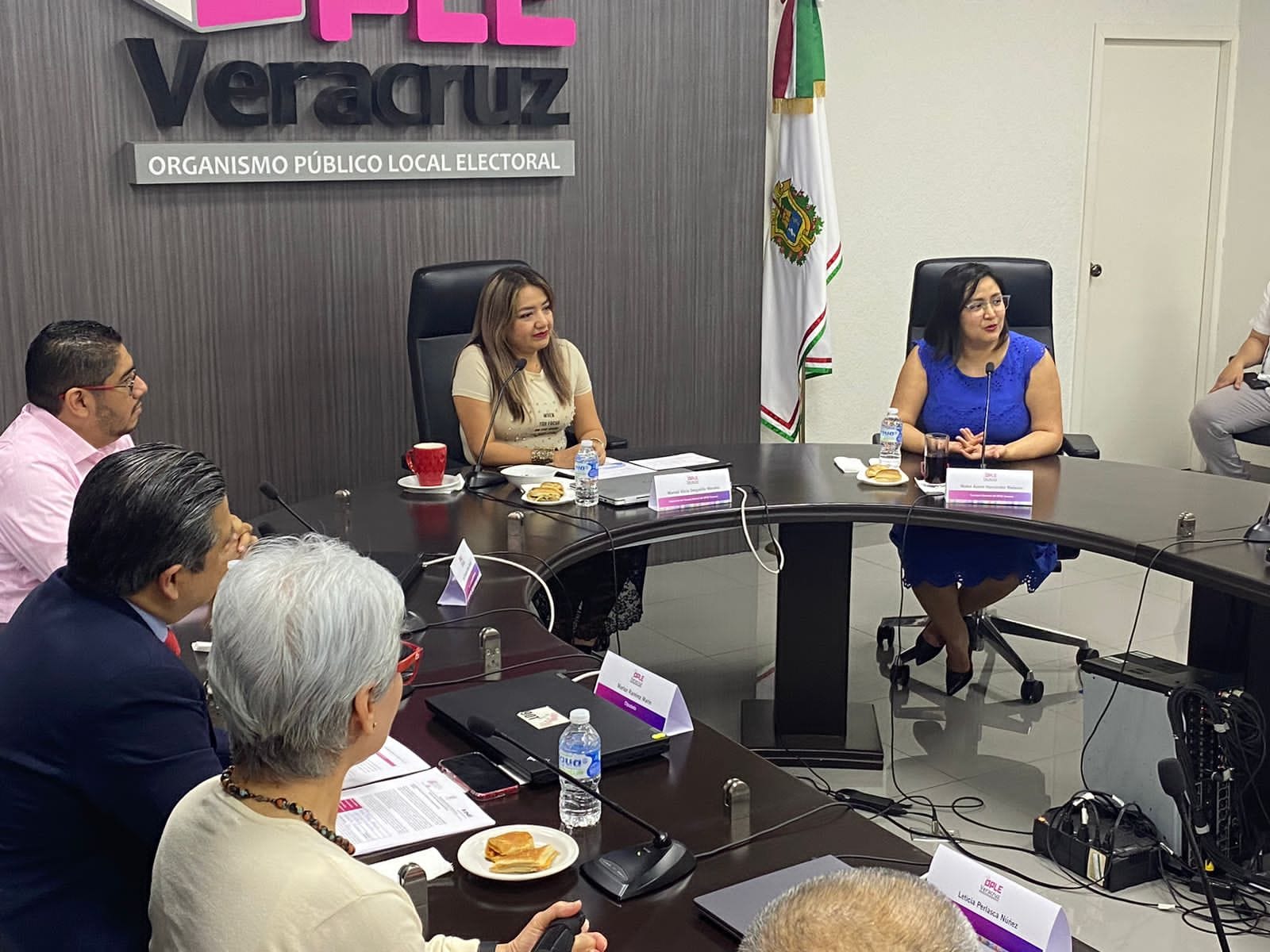 Por iniciar precampañas de diputados locales