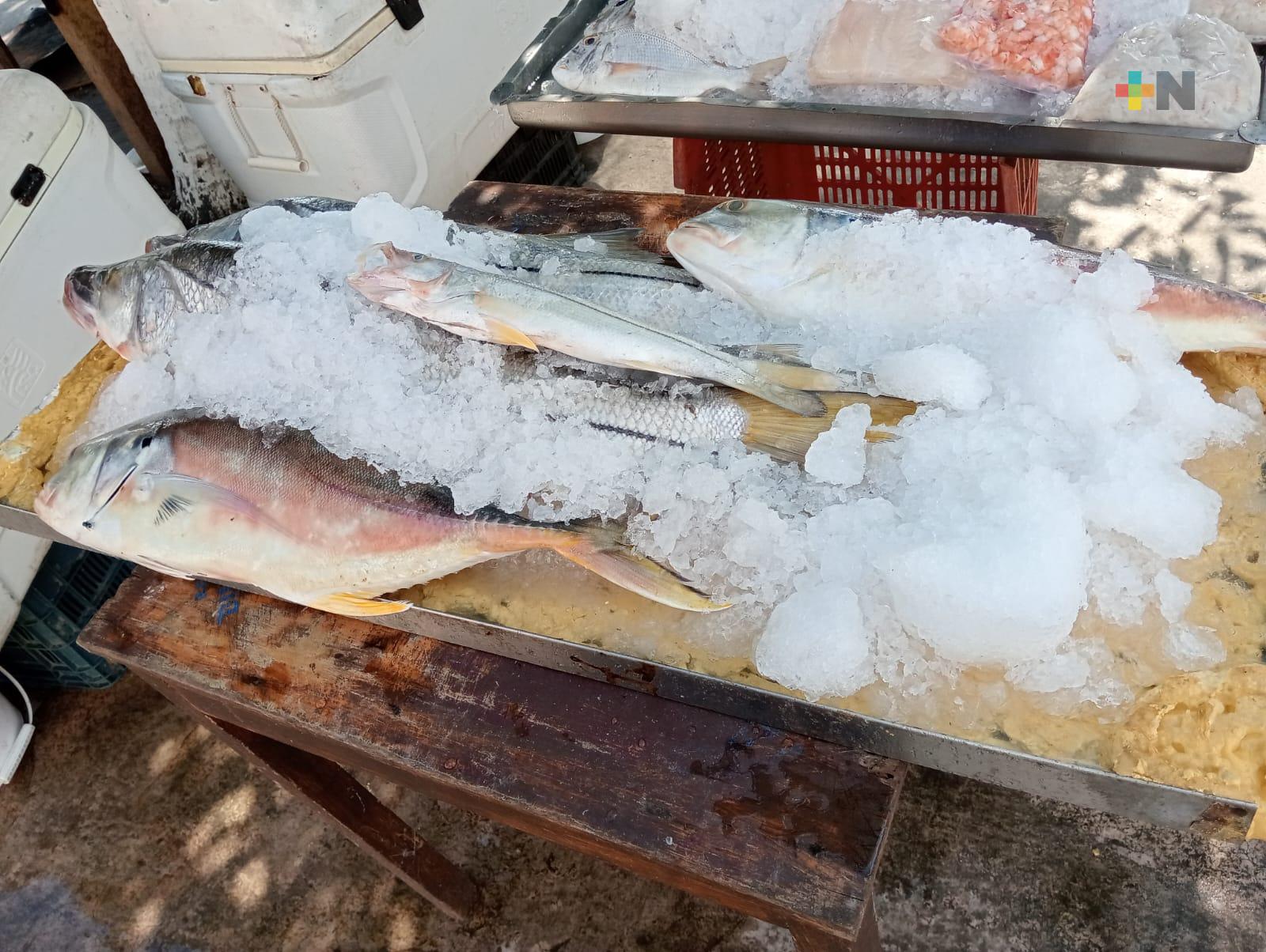 Pescadores de Boca del Río reportan baja venta de sus productos