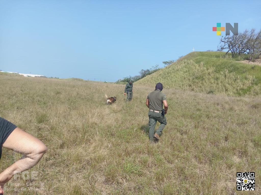 FGE realiza acciones de búsqueda en la zona sur