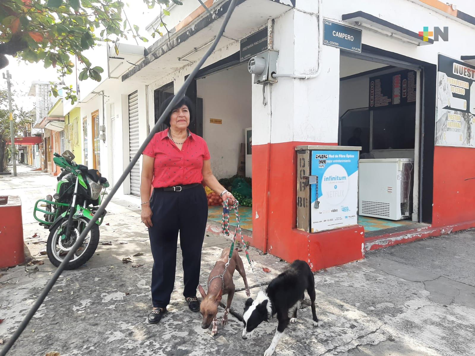 Sin respuesta de autoridades el ataque de pitbulls a adulta mayor en Veracruz