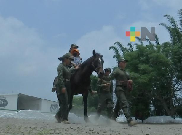 SSP ofrece sesiones de equinoterapia a pacientes canalizados por Crisver