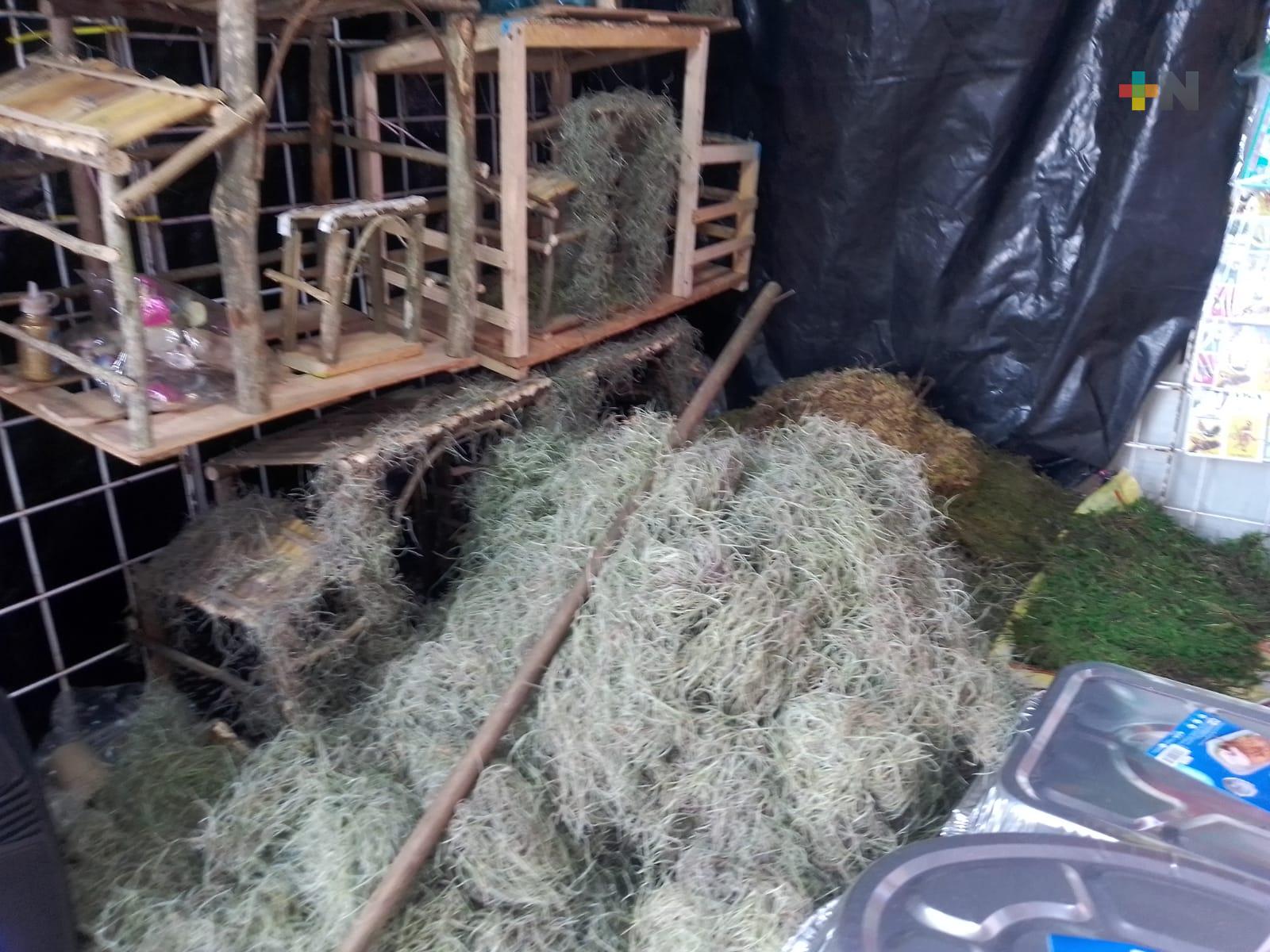 Comerciantes de pastle reportan bajas ventas de producto