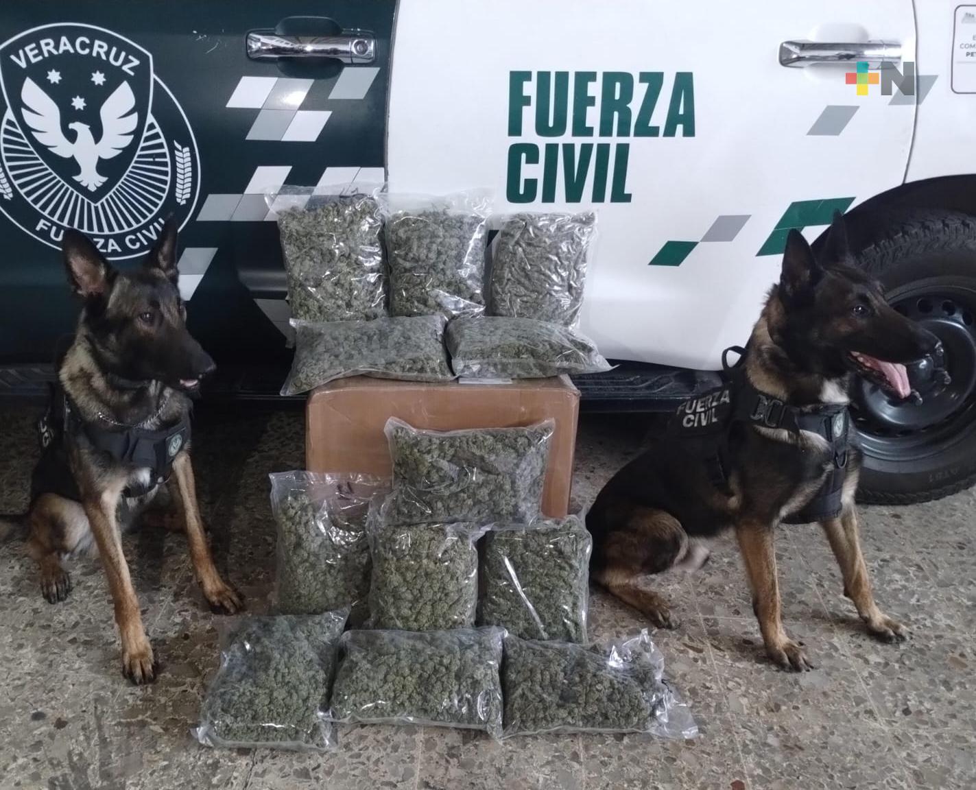 Asegura Compañía K9 de Fuerza Civil 473 kilos de marihuana en el 2023