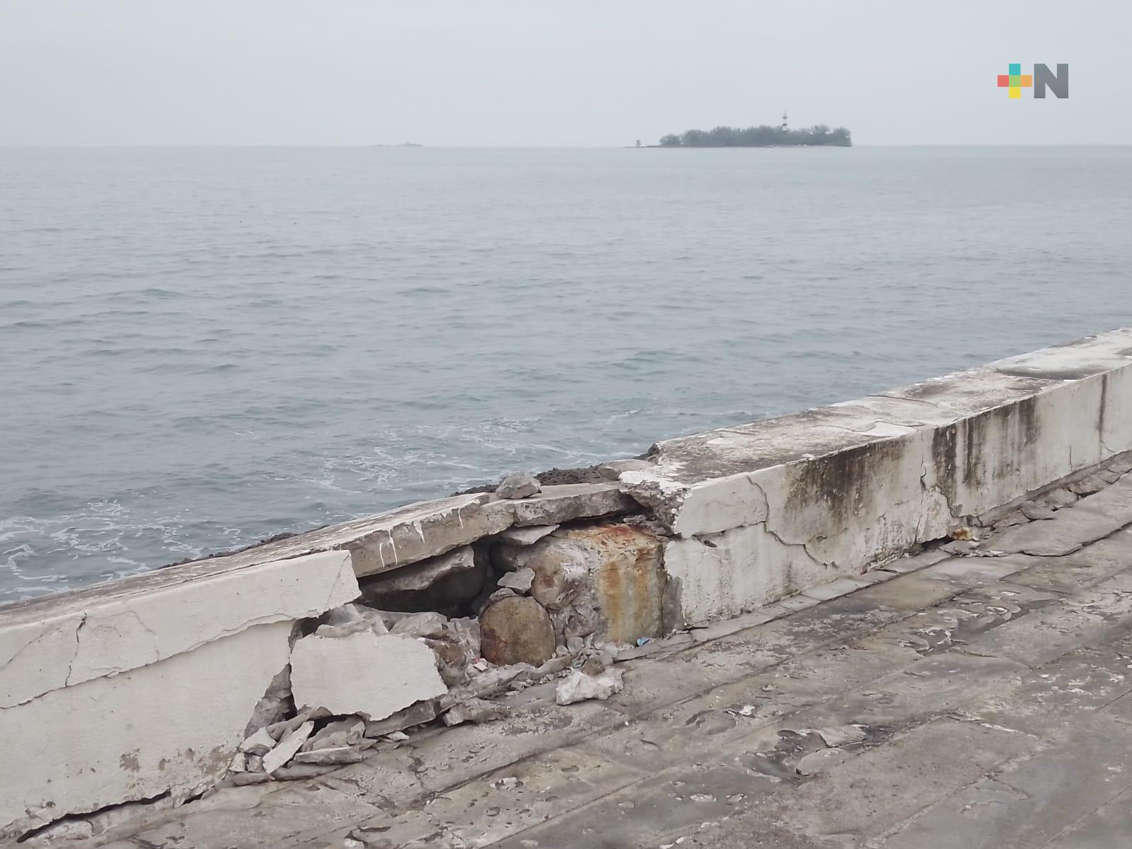 Vientos del norte dejan severos daños en bulevar Ávila Camacho en Boca del Río