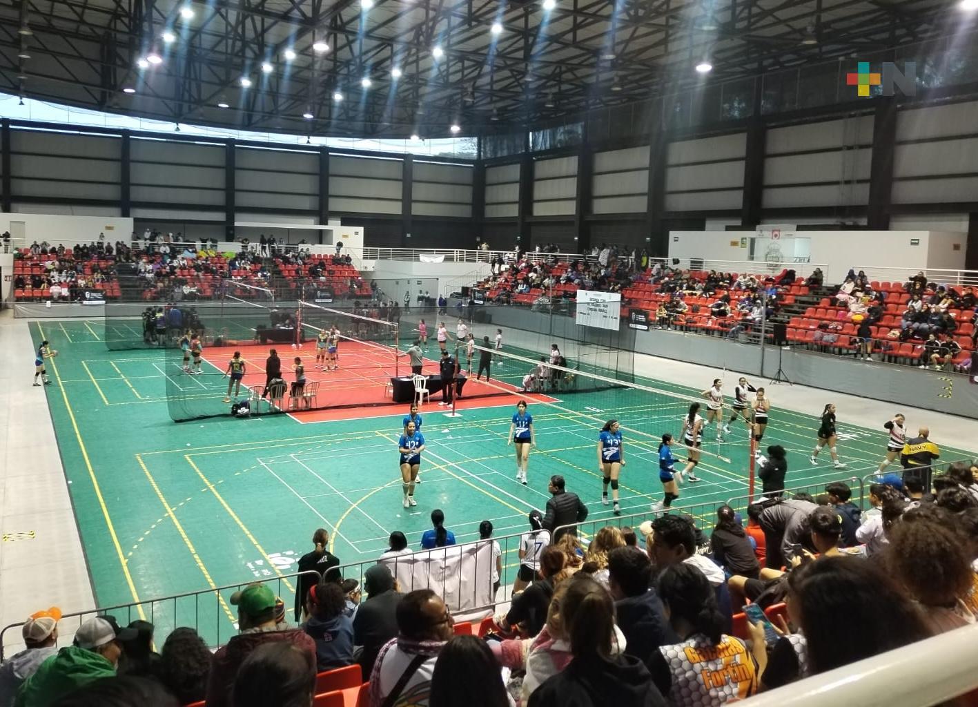 Club Leones y Leonas de Coatzacoalcos destacó en «Copa Córdoba Renace»