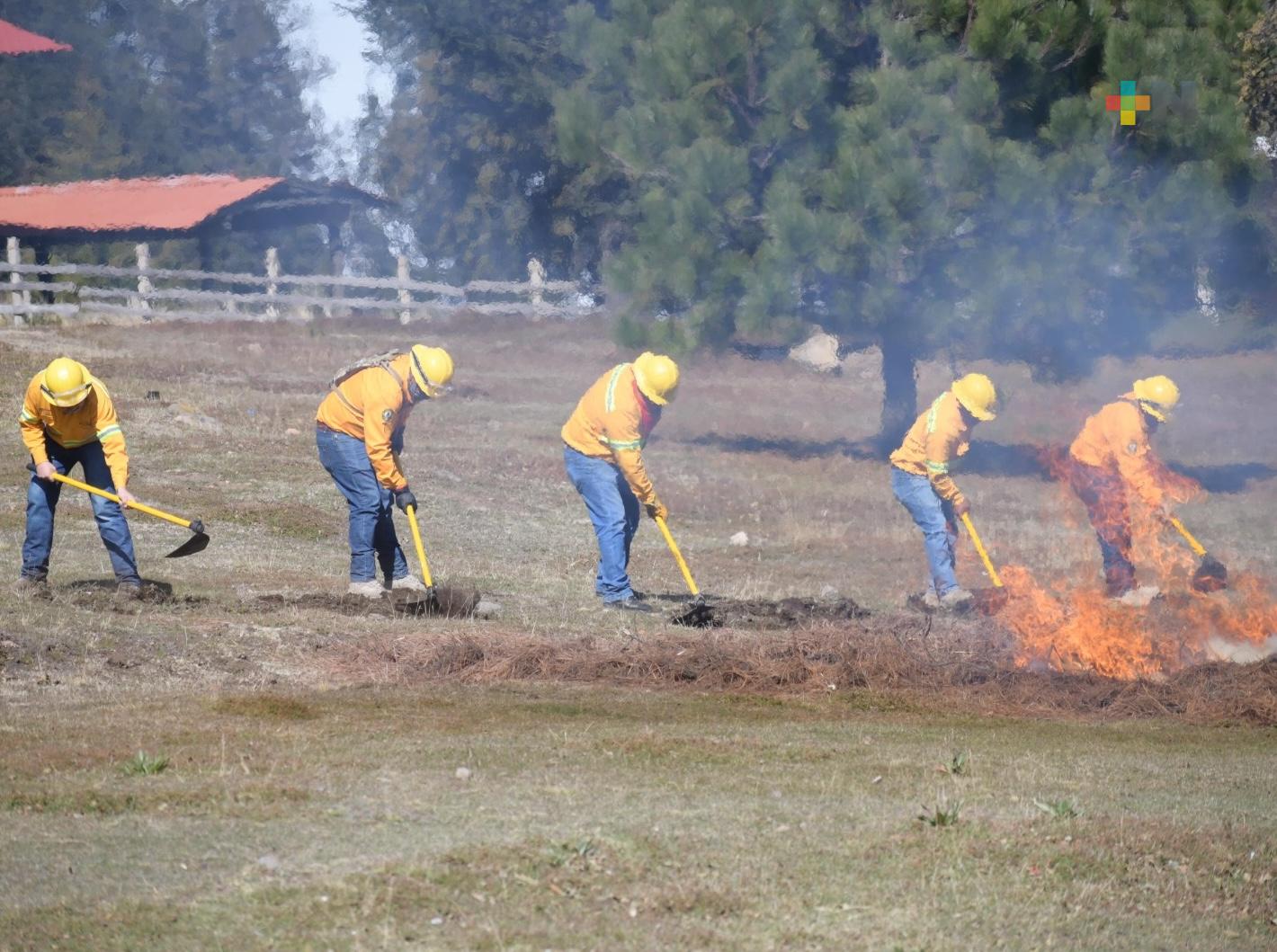 Estado de Veracruz registra 18 por ciento menos incendios forestales en 2023