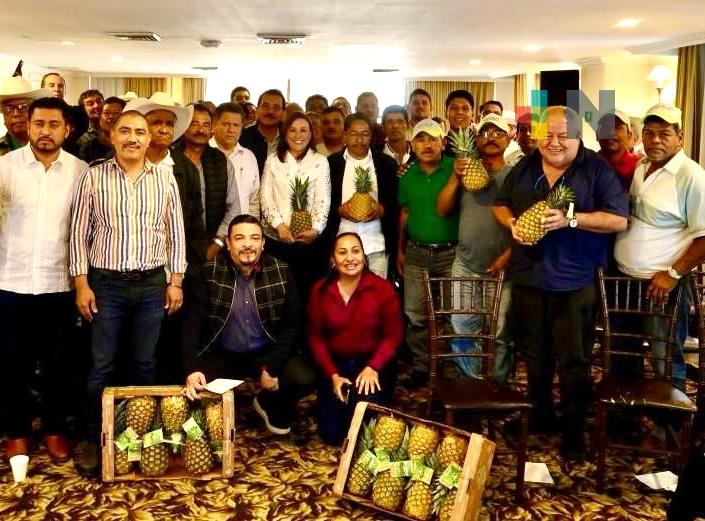 Rocío Nahle se reúne con productores de piña del estado