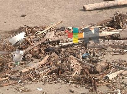 En Día de la Educación Ambiental, en Coatzacoalcos limpiarán la playa