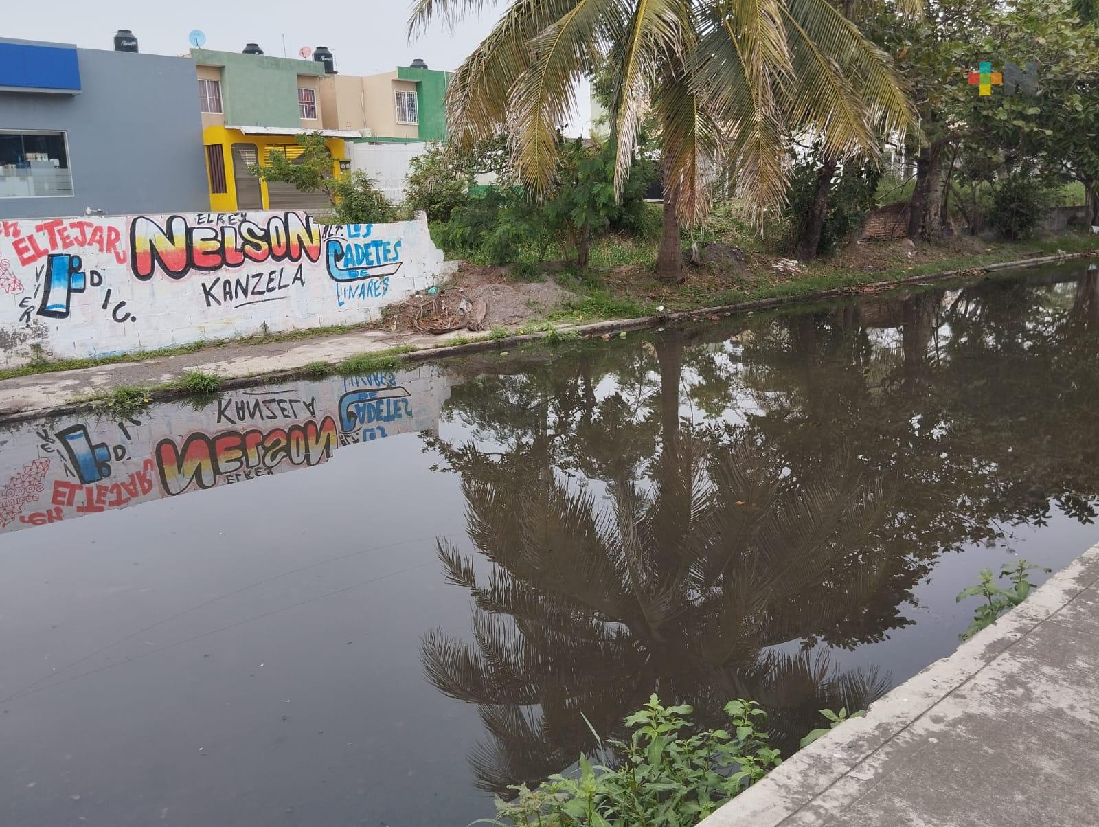 Entre aguas negras y baches viven en calle Felipe Cortina de Boca del Río