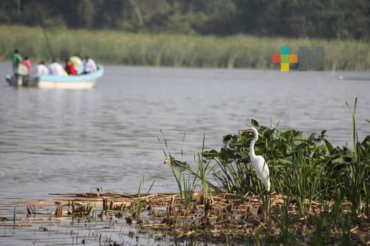 Cerca de concluir rescate de laguna de San Julián de Veracruz puerto