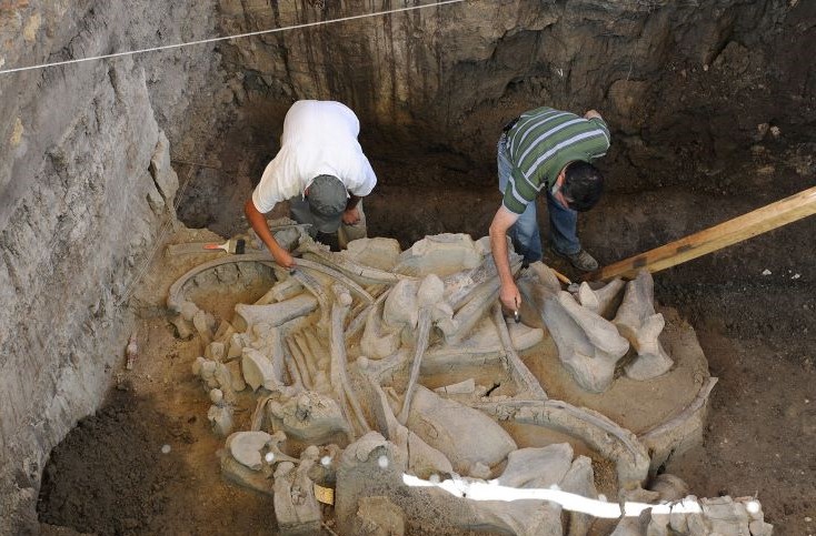 Megasitio de mamuts de Tultepec revela cultura de antiguos cazadores de la Cuenca de México