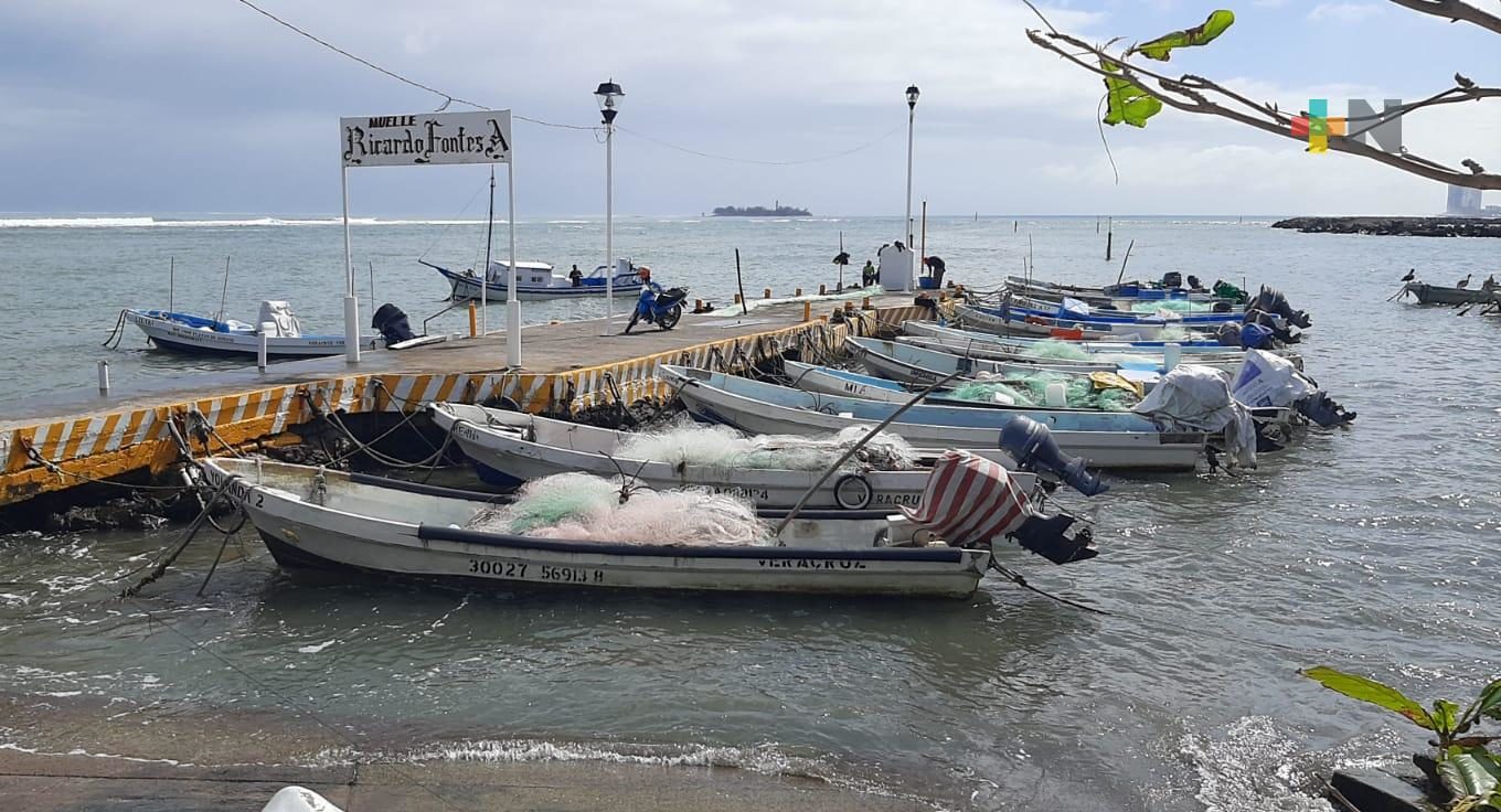 Pescadores festejan a San Sebastián cada 20 de enero; este año no los favoreció