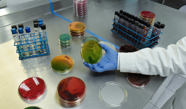 Fomenta Agricultura buen uso de fármacos en medicina veterinaria