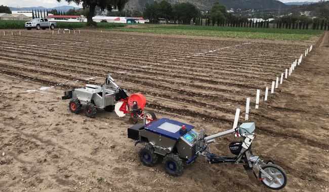 Emplea Agricultura robots ‘a todo terreno’ para automatizar procesos de siembra