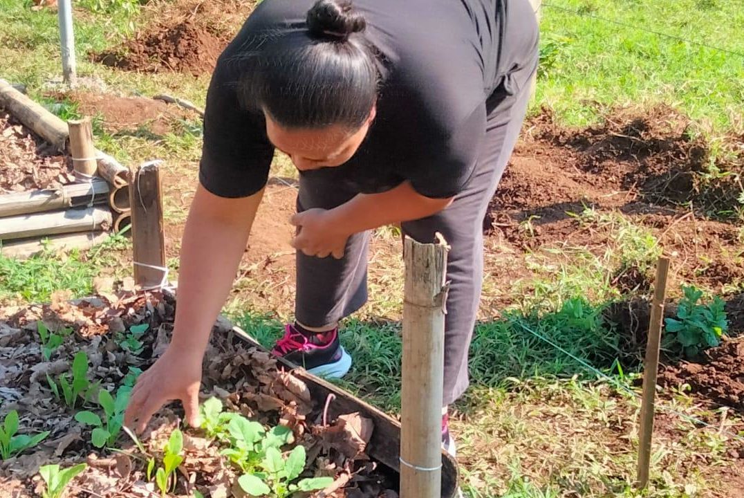 Continúa Semana de la Agroecología y la Educación Ambiental en área natural Barranca Honda