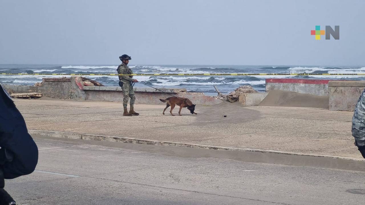 Artefacto explosivo en malecón de Coatzacoalcos genera despliegue policiaco