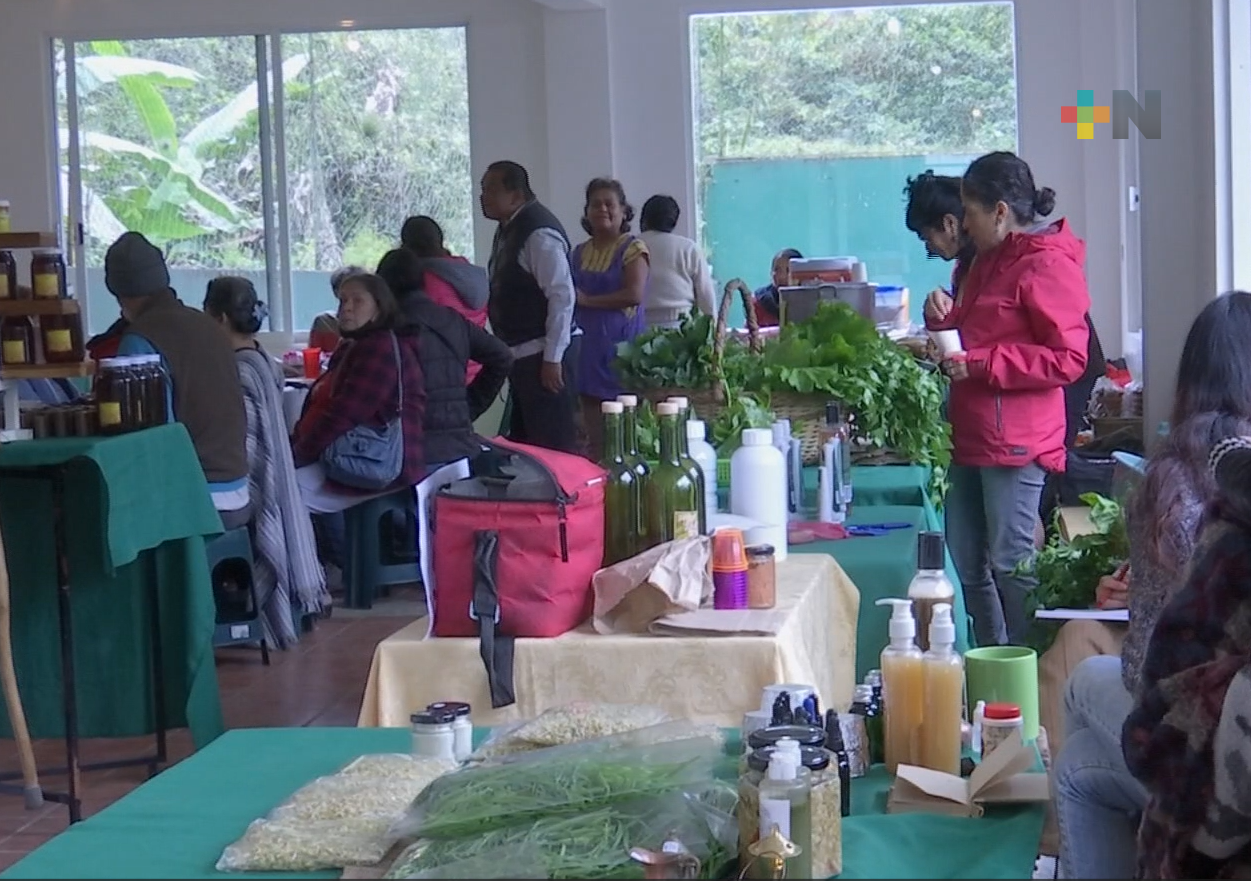 Tianguis agroecológico ofrece productos orgánicos a los xalapeños cada domingo