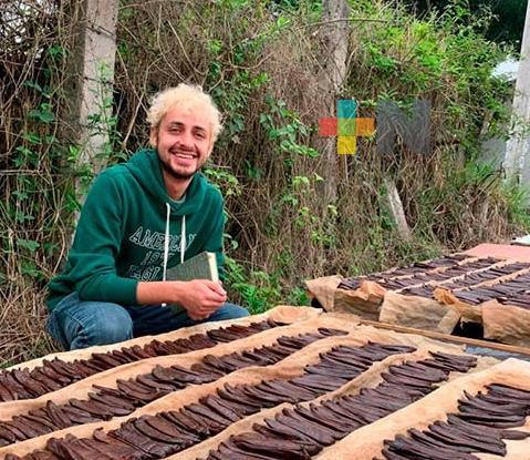 Vainilla pompona puede proteger a la especie planifolia